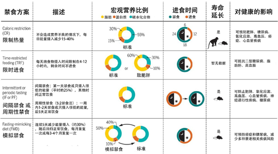 4种禁食方式对比(引自Francesco等)