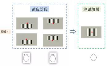 图3 视网膜运动适应方向和头部转动方向的变化频率相互独立头部转动条件示意图