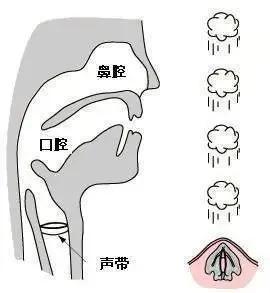 微信语音里自己的声音为什么那么难听?