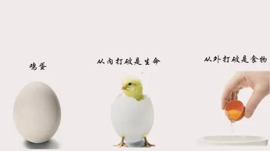 图片来源：zhihu