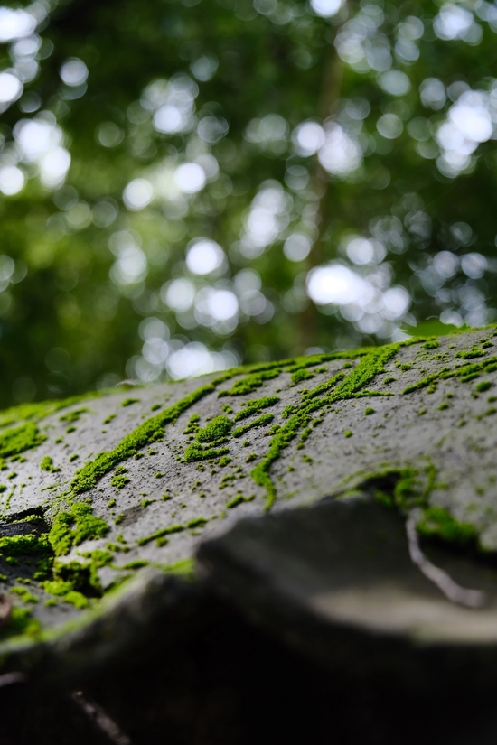 ʿ
ȡ 17-70mm F/2.8 Di III-A VC RXD