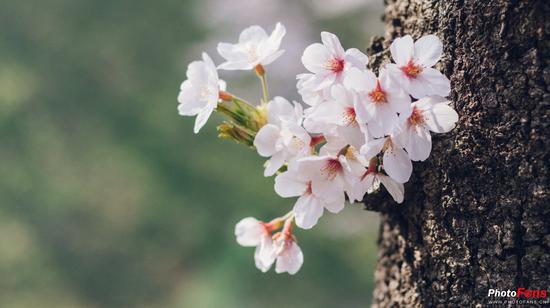 EOS 5D Mark IV  EF 50mm F1.8 STM