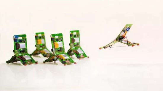 瑞士开发蚂蚁机器人 5种运动方式+变形弹回 