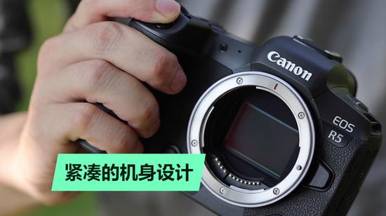 拍鸟镜头佳能 5b16-izmihnu0692677.jpg