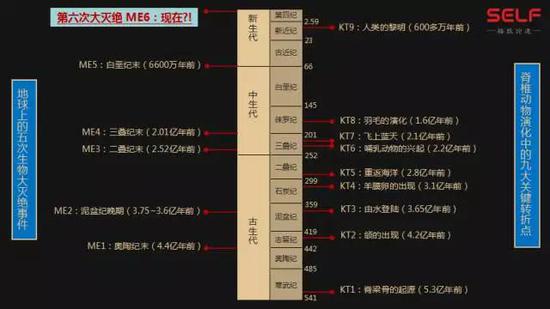 先有鸡还是先有蛋?我敢肯定地告诉你先有蛋