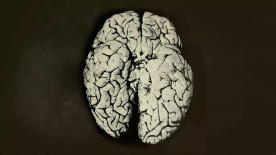 被摧毁的科学家的大脑。图片来源：youtube