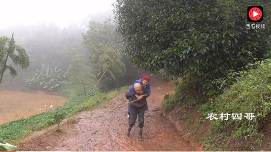 农村妈妈做了一道家乡特色菜，爸爸冒雨背90岁奶奶过来品尝。 图片来自西瓜视频截图