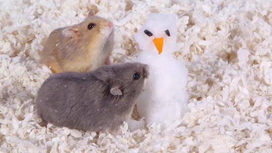 上次有人夸荡秋千的小鼠可爱，那堆雪人的小鼠可爱不？