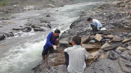 研究人员在淡水河岸边挖掘化石。摄影：傅东静