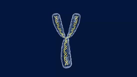 图片来源:genetic literacy project
