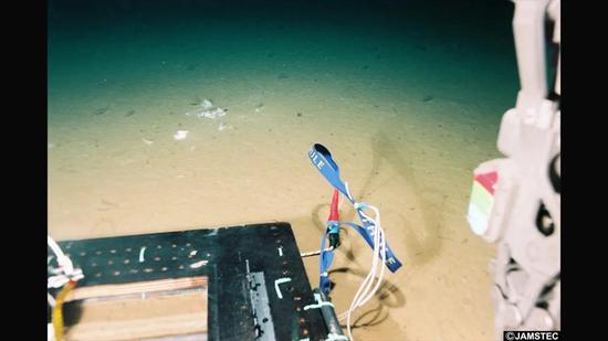  1998年，深潜器在马里亚纳海沟10898米深处发现的一摊塑料垃圾