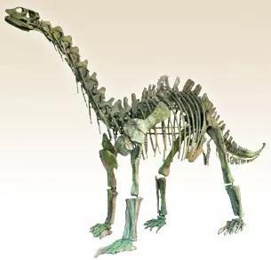 李氏蜀龙，出处：自贡恐龙博物馆官网