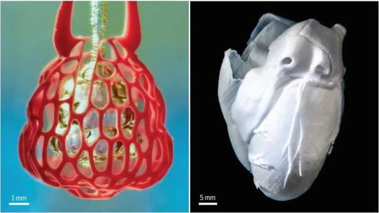 ▲生物打印技术模拟肺组织和复制人类心脏结构，让复杂的“人造器官”正在变成现实（图片来源：参考资料[2]）