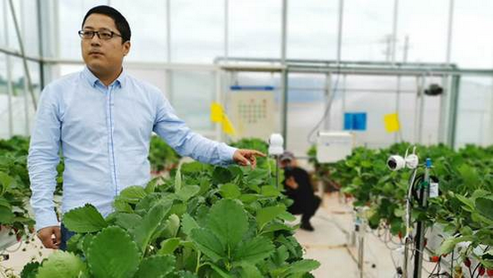 图:拼多多数字化农业,
起源:网络