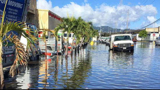 檀香山的满潮洪涝。图片来源:Hawaii Sea Grant King Tides Project