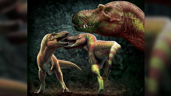 科学家揭示霸王龙的主要打斗方式：咬脸|霸王龙|化石