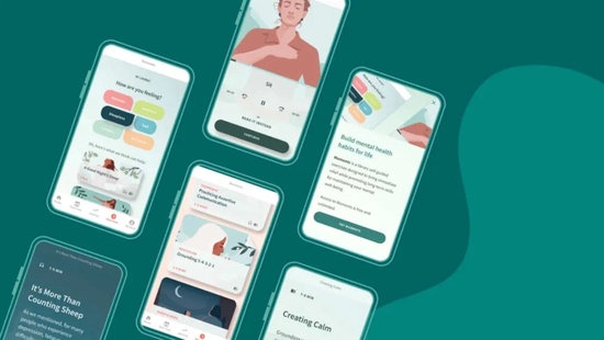 图片来源：Spring Health