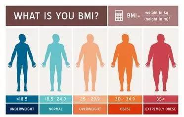 ▲根据世界卫生组织的定义，BMI等于或大于25时为超重，等于或大于30时为肥胖（图片来源：123RF）