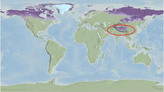 图6 全球多年冻土区分布示意图（红色圆圈是我国青藏高原地区，这也是世界上最大的中低纬度多年冻土分布区）