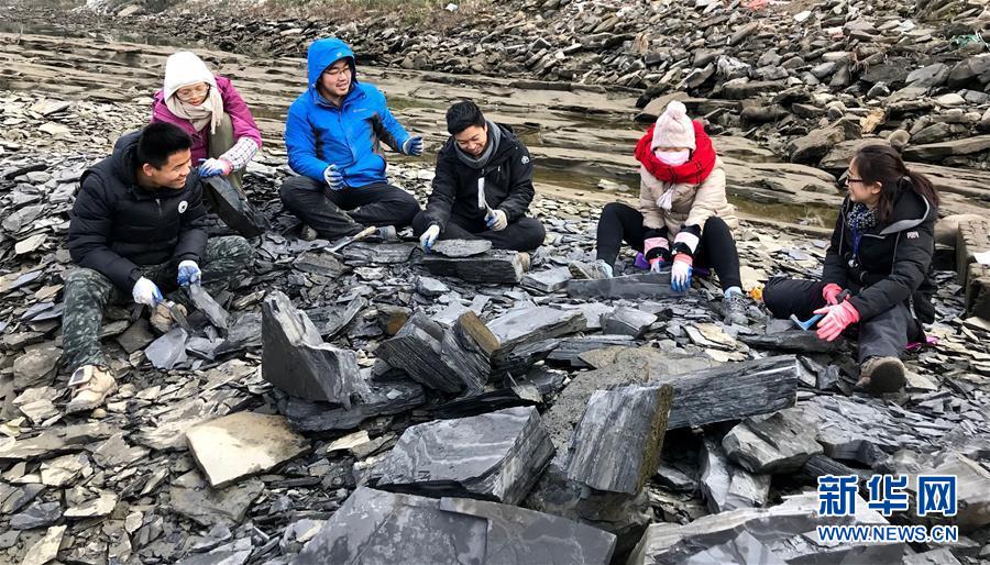 2018年，西北大学地质学系的师生在湖北省宜昌市丹水河进行“清江生物群”化石挖掘。新华社发（西北大学供图）