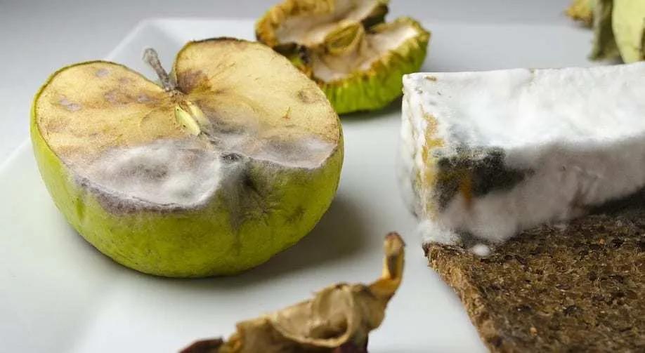 10粒病毒即可致病，至今无疫苗和特效药，幸好它只造成肠胃炎|诺如病毒|肠胃炎