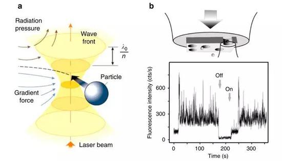 图3   （a）传统光镊的示意图，只靠光学聚焦的激光。（b）纳米光镊的示意图，需要外加金属薄膜以及纳米孔隙 | Copyright： 2004 American Chemical Society。