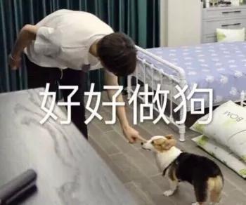 蝌蚪娱乐平台初始密码 - 新华社:我国前三季度对外直接投资突破800亿美元