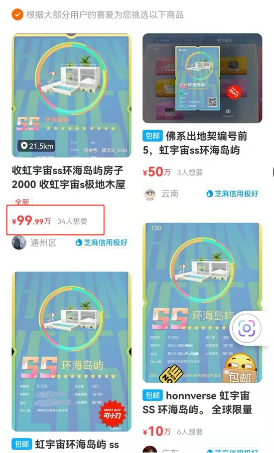 图注：闲鱼用户炒作虹宇宙房产