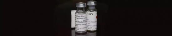  RV144 试验疫苗