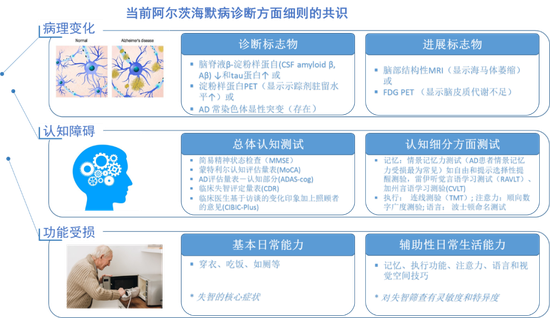信息来源：美国国立老化研究所与阿尔茨海默病协会（NIA-AA）2011年版和国际工作组织（IWG）2014年版；中国失智与认知障碍诊治指南（三）： 失智的认知和功能评估 （2018）；药明康德内容团队