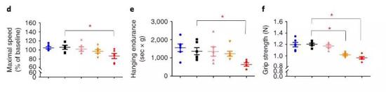 ▲注射了高剂量衰老细胞的小鼠（红色）与对照组（黑色）相比，出现了未老先衰的迹象（图片来源：《Nature Medicine》）
