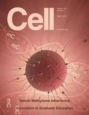 ①斑马鱼早期胚胎完全继承精子甲基化图谱在《细胞》杂志封面发表。