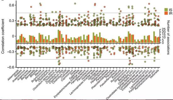 胰岛素抵抗（IR）和胰岛素敏感（IS）人群与肠道微生物之间的关联相差很大