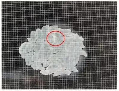 12款电热饭盒测评:两款出现“夹生饭”