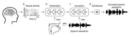 ▲脑机接口实现语音合成的图示（图片来源：参考资料[1]）