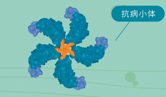 (图片来源:周俭民研究员)