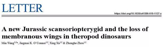 科学家发现擅攀鸟龙科恐龙化石，翅膀类似蝙蝠龙科恐龙鸟