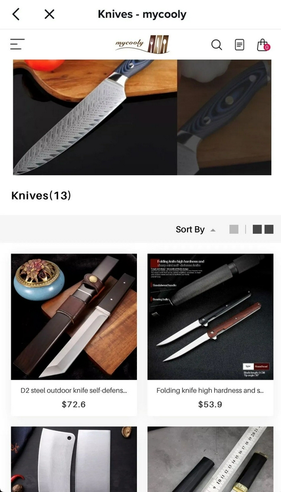 TikTok上链接的独立站 来源 /&nbsp;燃财经截图