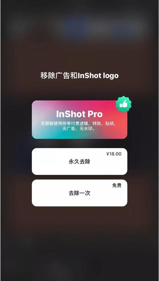 壹点vlog e88e-hwsffza5110262.jpg