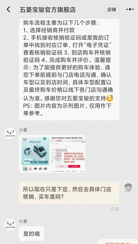 与宏光MINI EV官方客服沟通截图，受访者供图