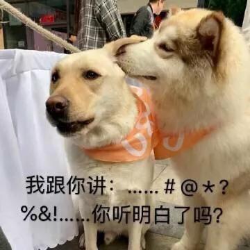 博狗扑克破解|江南新城“四园两馆两场两中心一轴”现雏形,它们分别是什么?