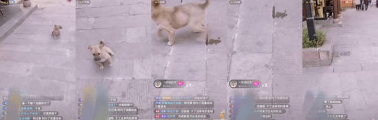 人物|主播围攻星巴克:制造冲突,制造流量