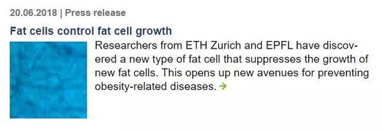 Nature：控制脂肪生长的，竟是另一群脂肪细胞？