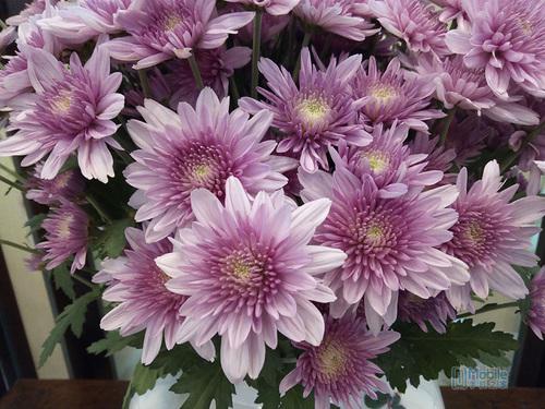 华为畅享8e青春版评测:合格入门机