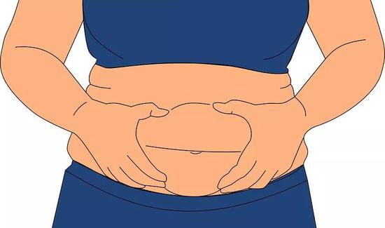 内脏脂肪是代谢风险的独立预测指标（图片来源：Pixabay）