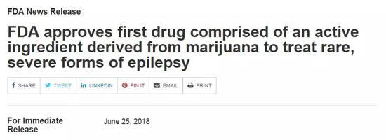 胰腺癌生存期延长3倍！成功关键是大麻素组合疗法？