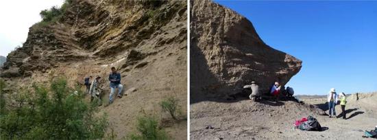 科研人员在铜川昆虫群（左）以及克拉玛依昆虫群（右）进行现场挖掘