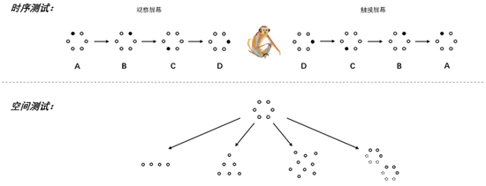 序列长度泛化（上）及形状泛化（下）