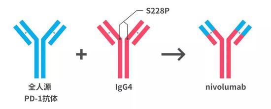 nivolumab的诞生