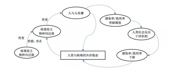人类与病毒的相处